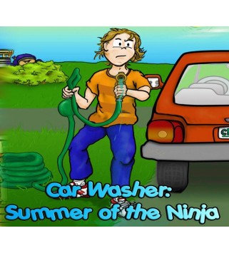 Car Washer: Summer of the Ninja Steam Key GLOBAL